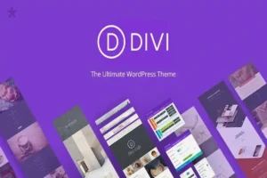 Divi WordPress Nulled Theme