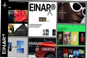 Einar Theme Nulled Free Download