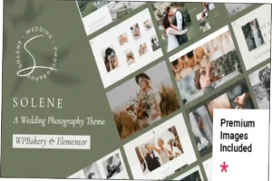 Solene Theme Nulled Free Download